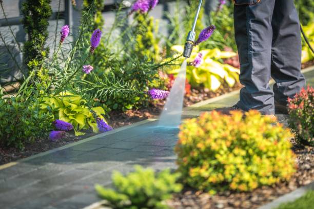 Trusted Reno, OH Pressure Washing Services Experts