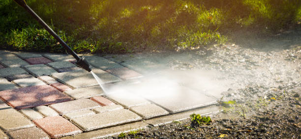 Animal Enclosure Cleaning in Reno, OH